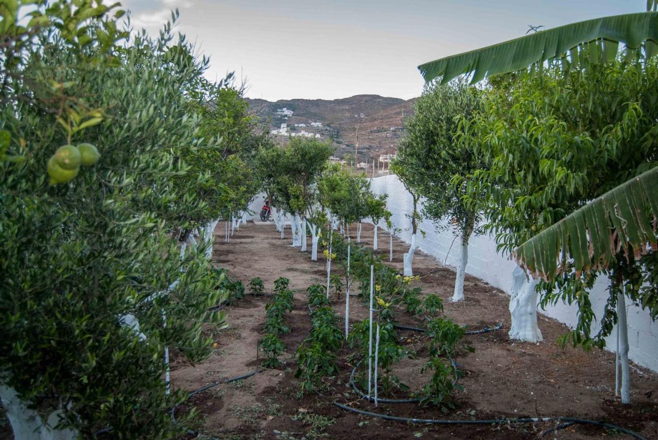 Ferienwohnung Perivoli 4-Chora Agkidia Exterior foto