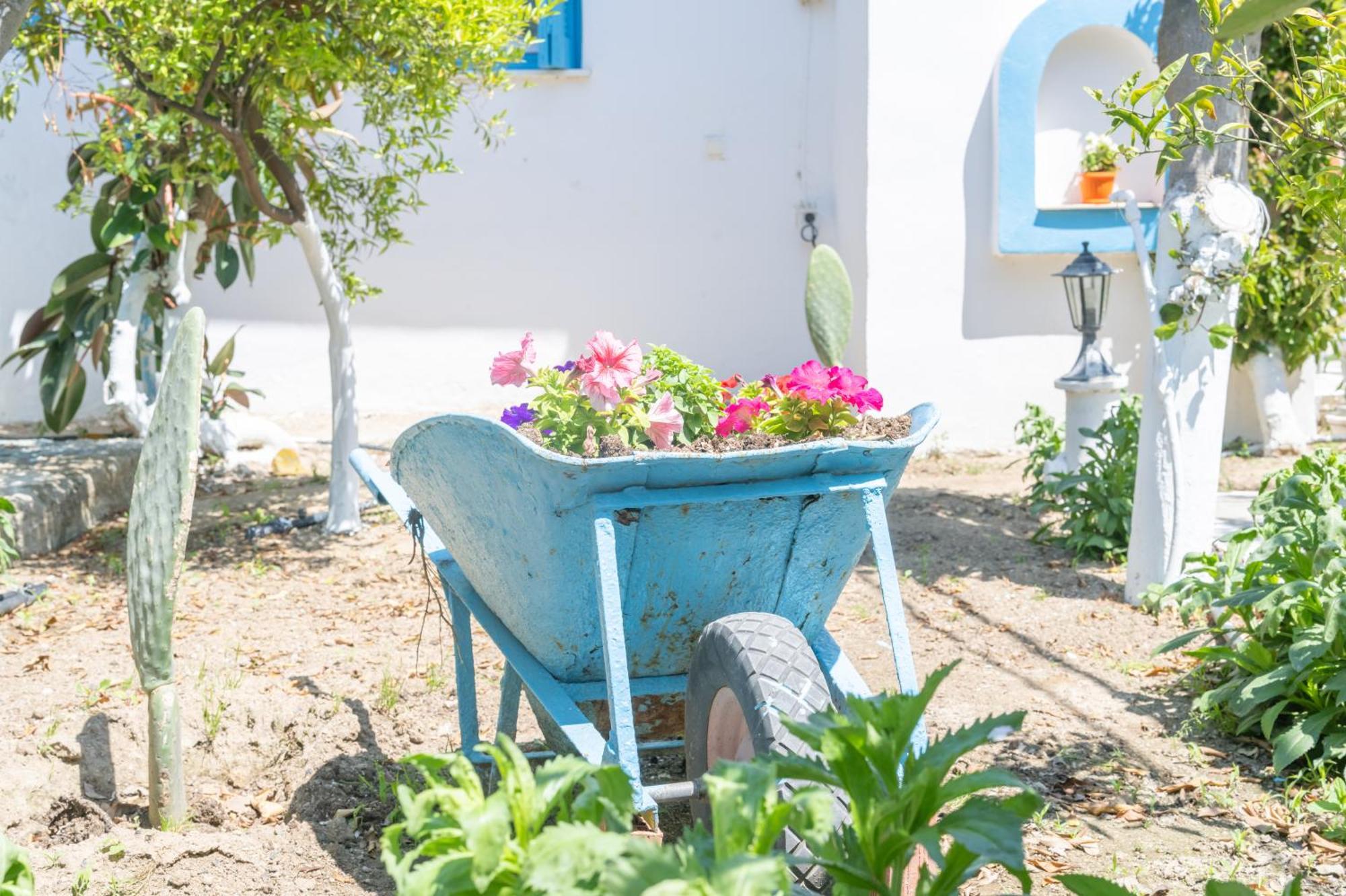 Ferienwohnung Perivoli 4-Chora Agkidia Exterior foto